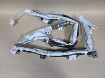 Шторка безопасности Toyota RAV4 40 XA40 2012-2019  Прав.